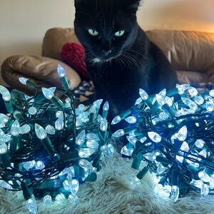 Set of Two LED Cool White String Lights